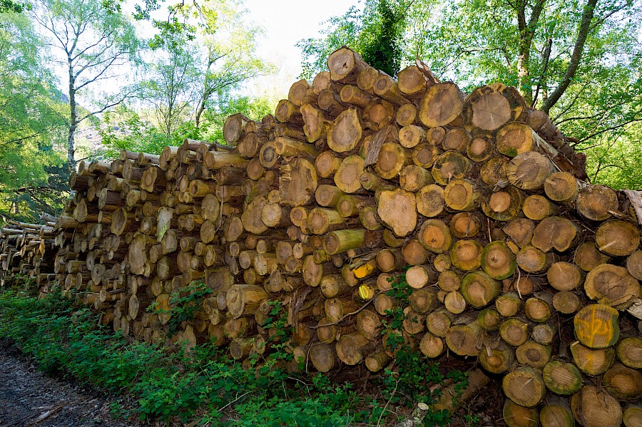 Where does our firewood come from?