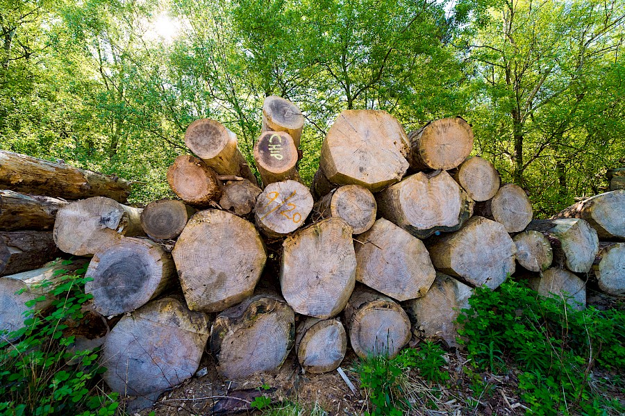 Where does our firewood come from?