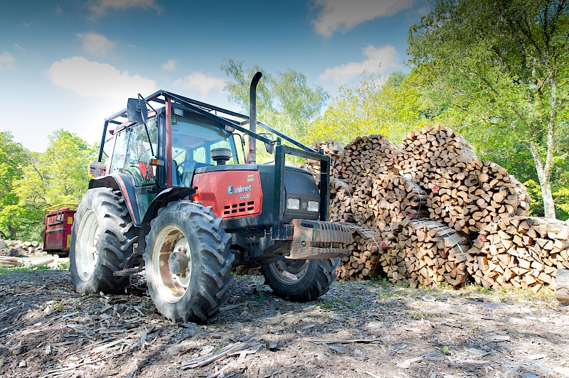 Where does our firewood come from?